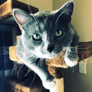 Meet your Posher, Itty